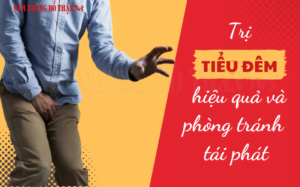 Sâm nhung bổ thận trị tiểu đêm hiệu quả và phòng tránh tái phát