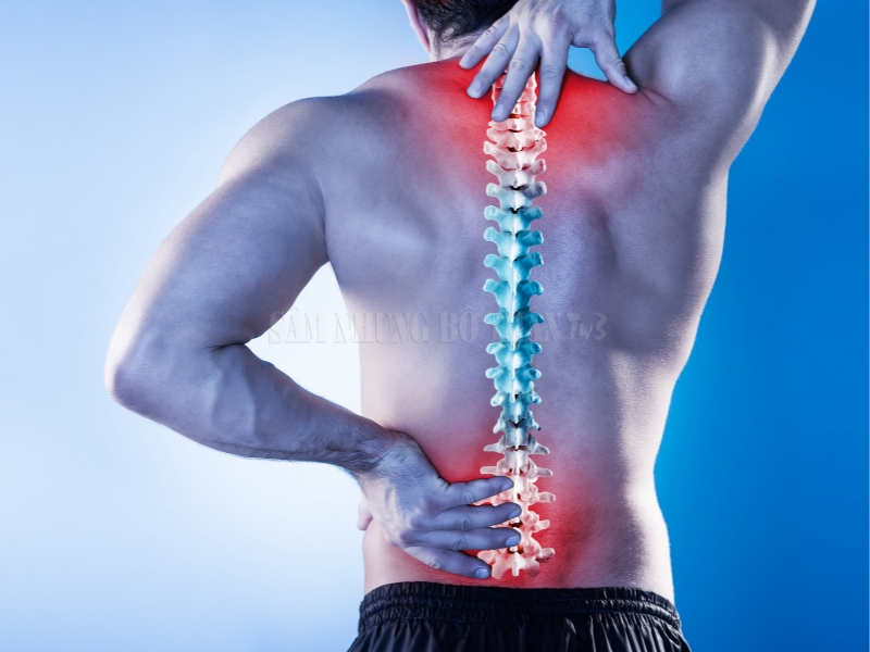Các vị trí đau lưng thường dọc theo vị trí cột sống